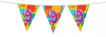 405509 vlaggen web v2 thumb