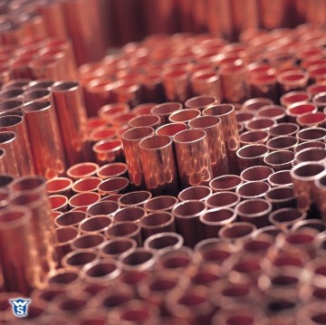 Prodzoomimg40850285 3