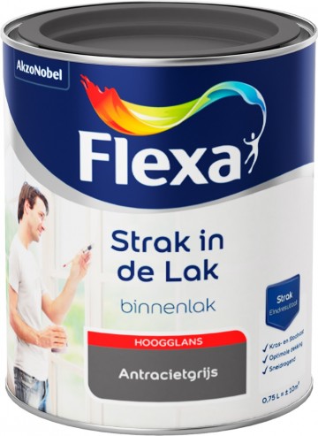 Watergedragen hoogglans antracietgrijs 750 ml